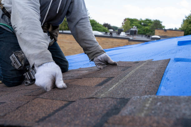 Best Shingle Roofing Installation  in Shawnee Hills, OH